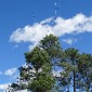 Balloons ascending